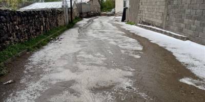 Ağrı'da dolu ve sağanak, Kars'ta ise sağanak etkili oldu