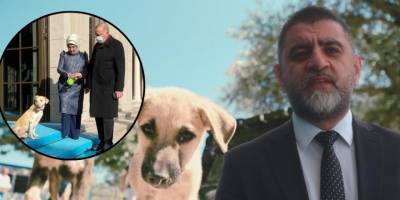 Genç Parti’den sert çıkış: Ülkede başıboş köpek değil, krizi bilinçli büyüten iktidar sorunu var!