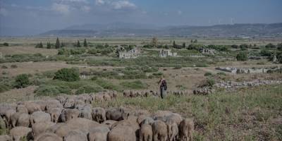 Fotoğraf ve tarihseverlerin yeni gözde rotası, Didim