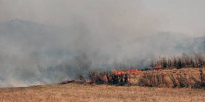 Bayındır ve Tire'de tarım arazilerinde çıkan yangınlar kontrol altında