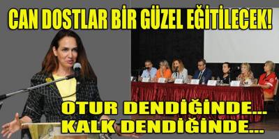 Karşıyaka'daki sokak hayvanları bundan böyle otur dendiğinde oturacak!