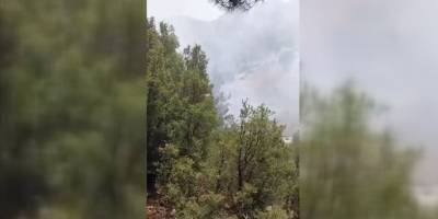 Antalya'da çıkan orman yangınına müdahale ediliyor