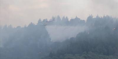 Uşak'ta tarım arazisinde çıkan yangın ormana sıçradı