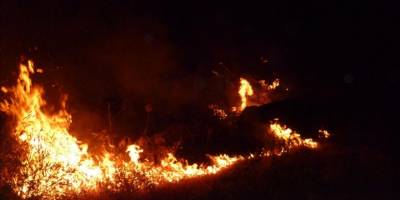 Bilecik'te ormanlık alanda çıkan yangın söndürüldü