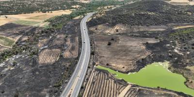 Uşak'ta tarım arazisinde başlayıp ormana sıçrayan yangın kontrol altına alındı