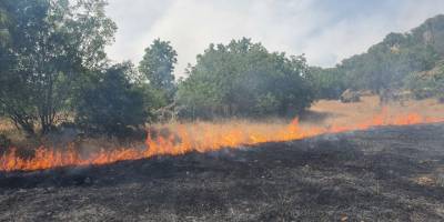 Manisa Demirci'de ormana sıçrayan yangına müdahale ediliyor
