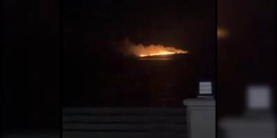 İzmir'de Çiçek Adası'nda çıkan yangın söndürüldü