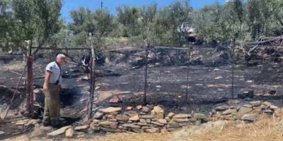 Bayındır'da zeytinlik alanda çıkan yangın söndürüldü