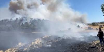 Balıkesir'de anızda başlayıp ağaçlandırma sahasına sıçrayan yangın kontrol altında