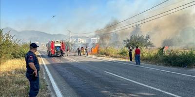İzmir'de zirai alanda çıkan yangın kontrol altına alındı