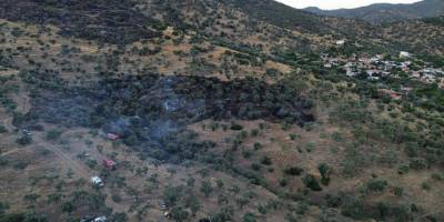 Bayındır'da zeytinlik alanda çıkan yangın söndürüldü