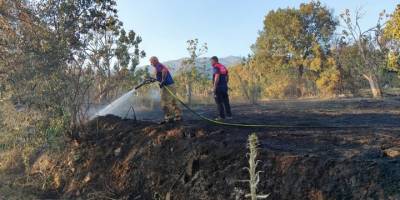 Ödemiş'te zeytin ve incir ağaçlarının bulunduğu bahçede çıkan yangın söndürüldü