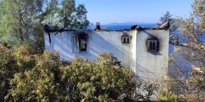 İzmir'de otluk alanda çıkan ve zeytinlik alana sıçrayan yangın kontrol altına alındı