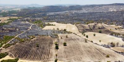 Uşak'ta yangının zarar verdiği alanlar havadan görüntülendi