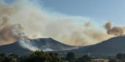Uşak'ta orman yangınına müdahale ediliyor