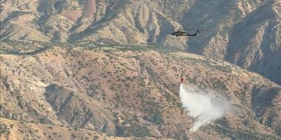 Siirt'te meşelik alanda çıkan yangın kontrol altına alındı