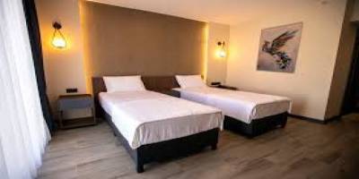 İzmir'de iki kardeş kaldıkları otel odasında ölü bulundu
