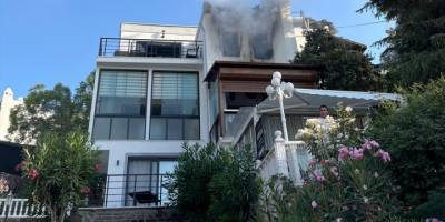 Bodrum'da çıkan yangında evdeki üç kedi ve yavruları kurtarıldı