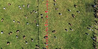 Kırkpınar'da bazı başpehlivanların güreşleri bu yıl erken başlayacak