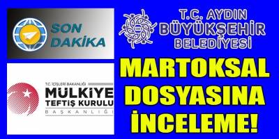 Son Dakika: İçişleri Bakanlığı Martoksal ihalelerine Mülkiye Müfettişlerini görevlendirdi!