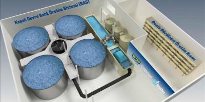 Metro Türkiye'den su ürünleri ile suda bitki yetiştiriciliğini birleştiren proje