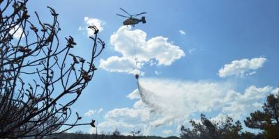 Kütahya'da ormanlık alanda çıkan yangın kontrol altına alındı