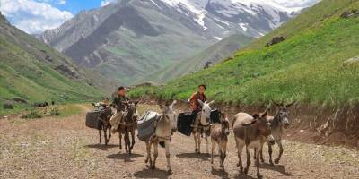 Hakkari'deki Han Yaylası, Şırnaklı göçerleri ağırlıyor