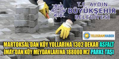 İmay'ın ihalesi 2 Martoksal ihalesinin arasına sıkışmış!