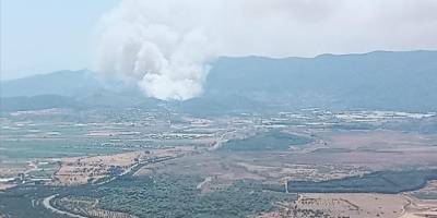 İzmir'de çıkan orman yangınına müdahale ediliyor