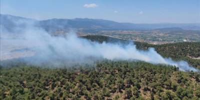 Balıkesir'de orman yangınına müdahale ediliyor