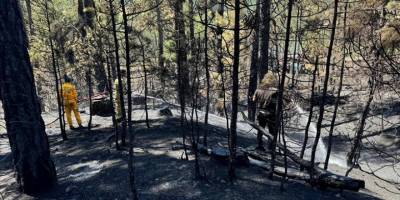 Bursa'da ormanlık alanda çıkan yangın kontrol altına alındı