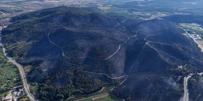 İzmir Selçuk'ta yangında zarar gören ormanlık alan havadan görüntülendi