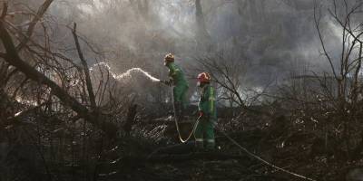 Serifos Adası'ndaki yangın nedeniyle Yunan yetkililer 7 yerleşim birimini tahliye etti