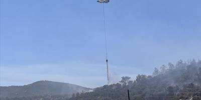 Muğla'nın Milas ilçesinde çıkan orman yangını kontrol altına alındı