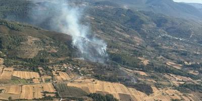 Muğla'da zirai alanda çıkan yangın ormana sıçradı