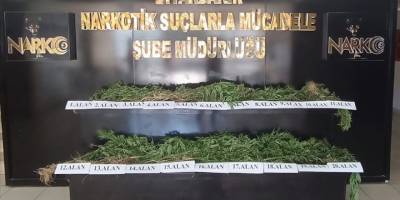 Diyarbakır'da Hevsel Bahçeleri'nde 3 bin 267 kök Hint keneviri ele geçirildi