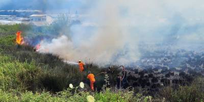 Balıkesir'de çıkan orman yangınına müdahale ediliyor