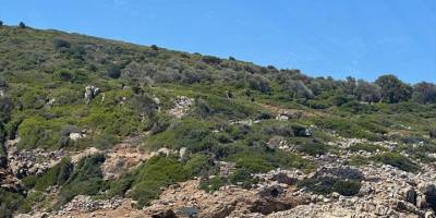 Marmaris'te 37 düzensiz göçmen yakalandı