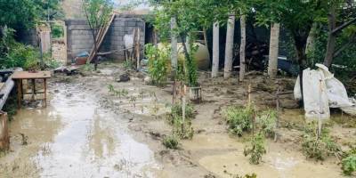 Ağrı'da sağanak sonrası oluşan sel hasara yol açtı