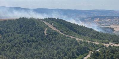 Balıkesir'de çıkan orman yangını kontrol altına alındı