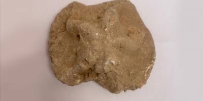 Diyarbakır'da 1500 yıllık kilise kalıntısında yapılan kazılarda denizyıldızı fosili bulundu