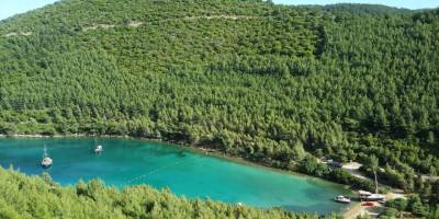 Muğla, İstanbul ve Balıkesir'deki 7 bölge "kesin korunacak hassas alan" ilan edildi