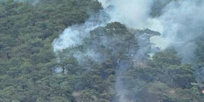 Nallıhan'da yıldırım nedeniyle çıkan orman yangını kontrol altına alındı