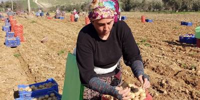 Üretici maliyetten, tüketici komisyoncudan şikayetçi