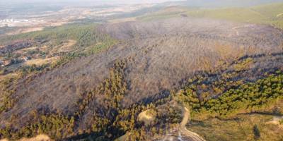 Uşak'taki orman yangınları kontrol altına alındı