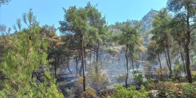 Bilecik'te çıkan orman yangını kontrol altına alındı