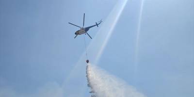 İzmir Dikili'de çıkan orman yangınına müdahale ediliyor