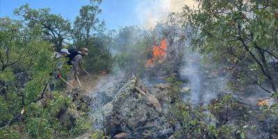Tunceli'de ormanlık alanda çıkan örtü yangınının söndürülmesi için çalışmalar sürüyor