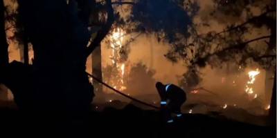 İzmir Karşıyaka'da orman yangını çıktı