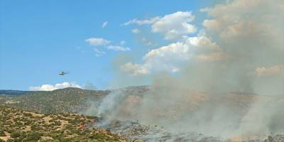 Aydın'da makilik ve zeytinlik alanda çıkan yangına müdahale ediliyor